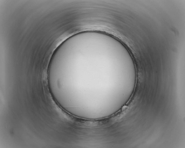 X0000110901521200907021527