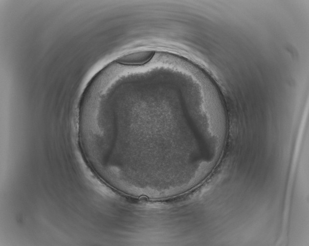 X0000110901522200907021527