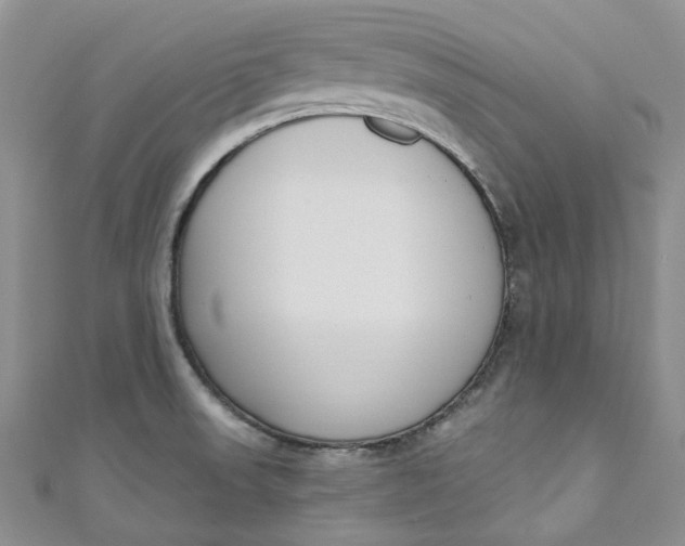 X0000110901523200907021527