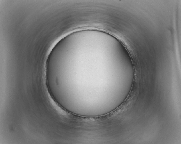 X0000110901524200907021527