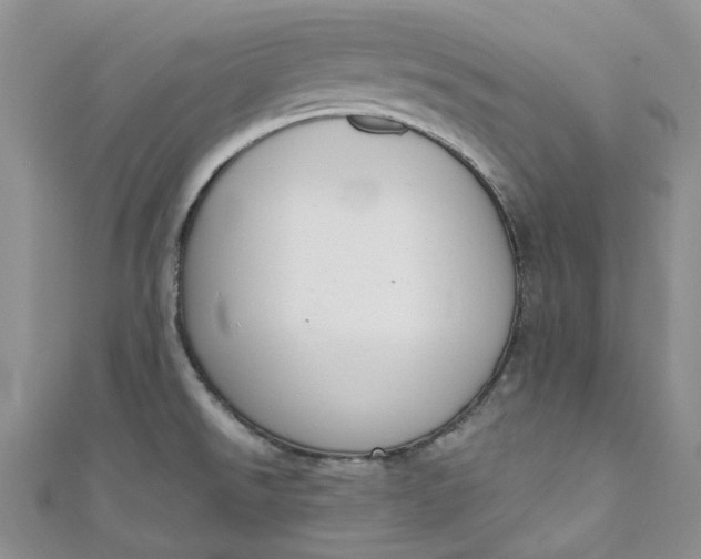 X0000110901526200907021527