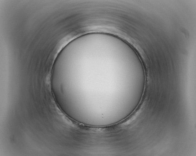 X0000110901529200907021527