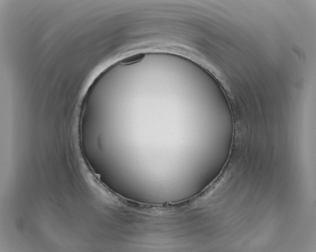 X0000110901530200907021527