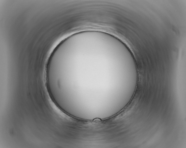 X0000110901531200907021527