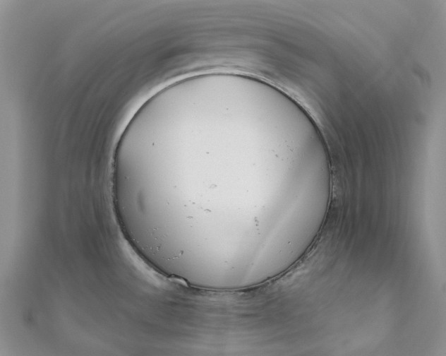 X0000110901532200907021527