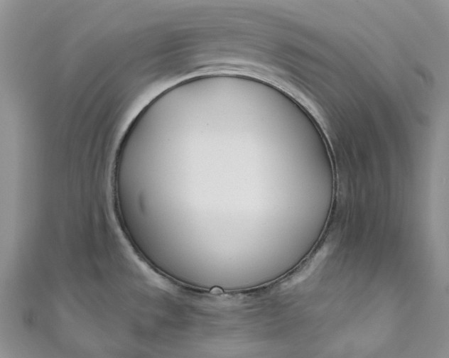 X0000110901533200907021527