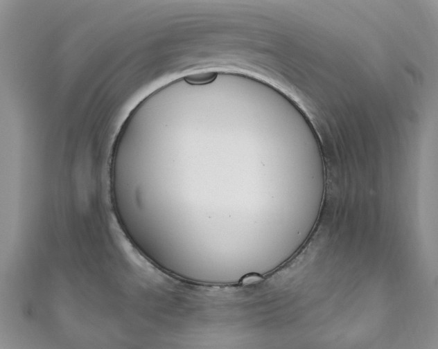 X0000110901534200907021527