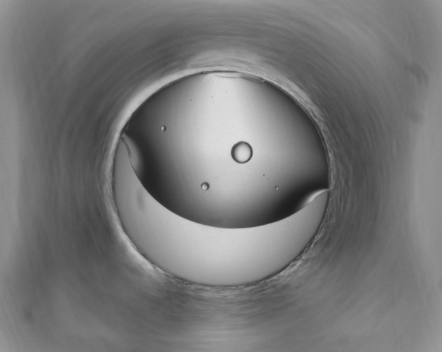 X0000110901536200907021527