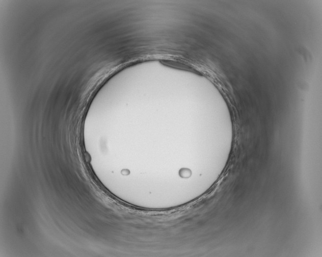 X0000110900001200907091425