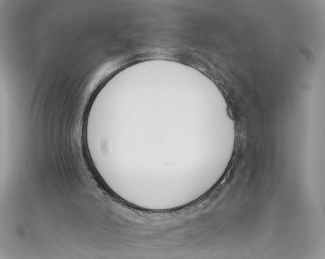 X0000110900006200907091425