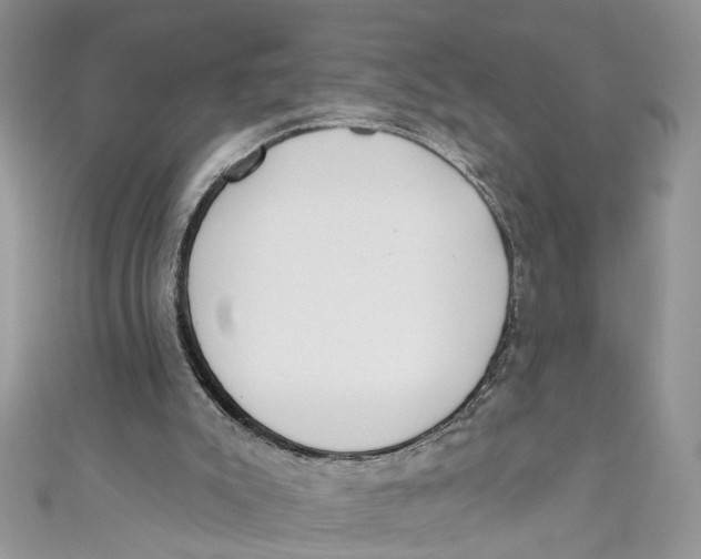 X0000110900007200907091425