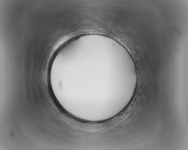 X0000110900008200907091425