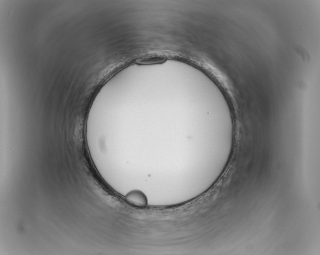 X0000110900009200907091425