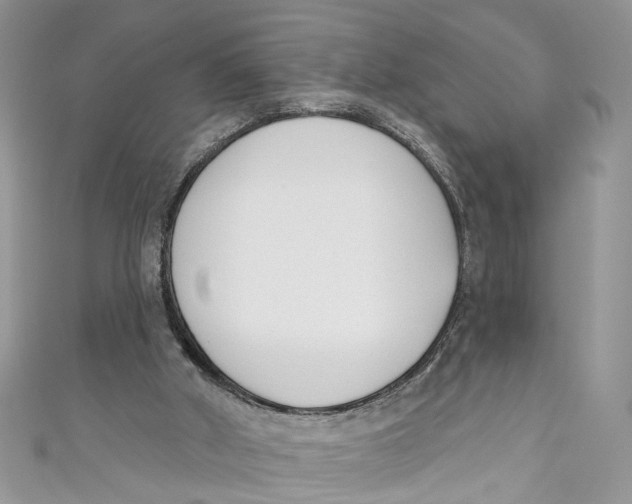 X0000110900010200907091425