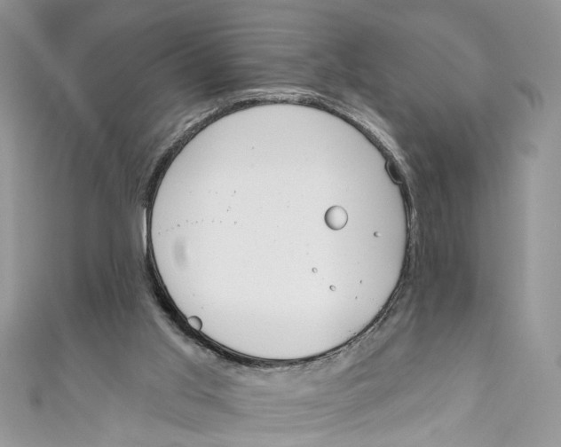 X0000110900013200907091425