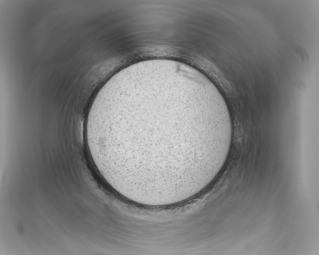 X0000110900014200907091425