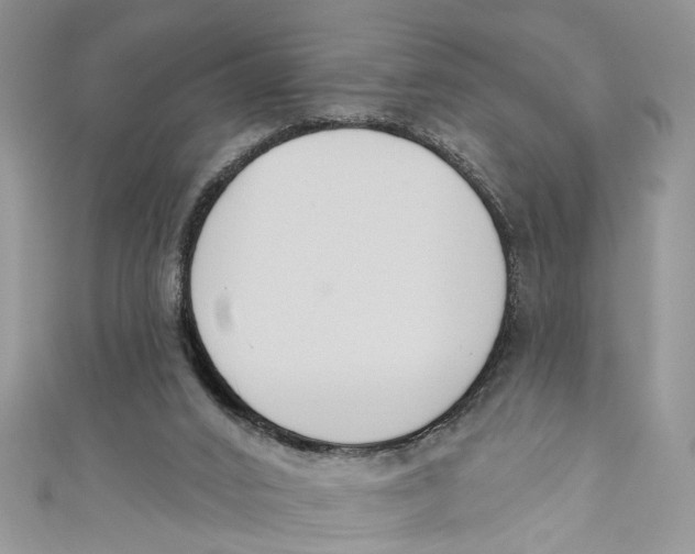 X0000110900016200907091425