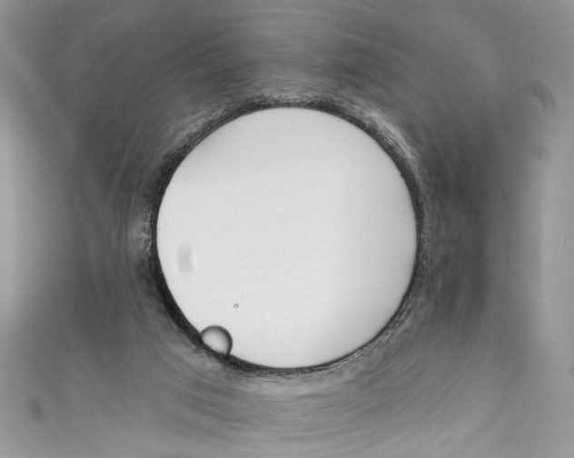 X0000110900017200907091425