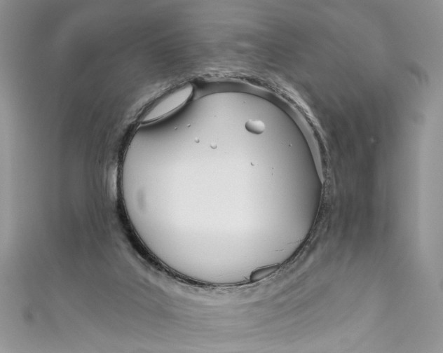 X0000110900019200907091425