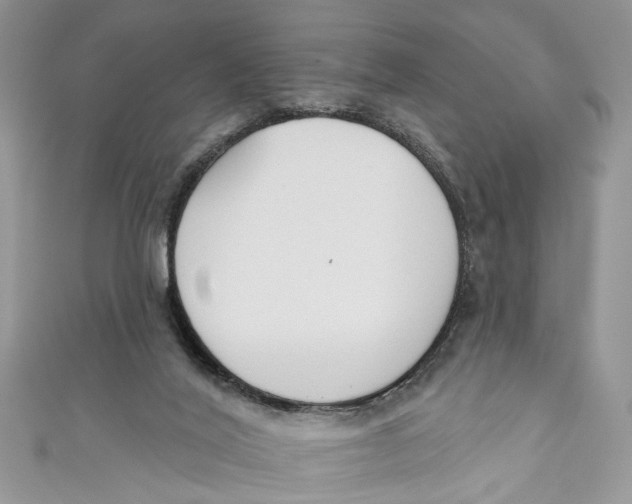 X0000110900020200907091425