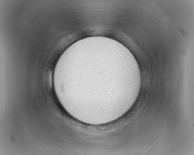 X0000110900022200907091425