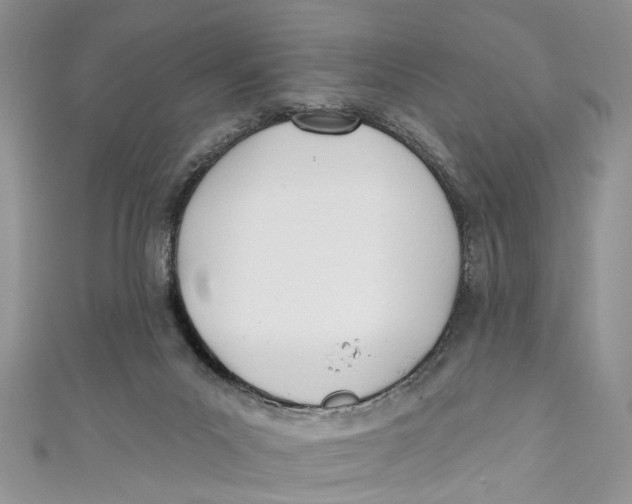 X0000110900023200907091425