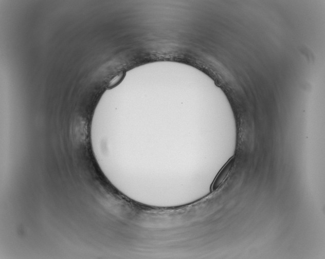 X0000110900025200907091425