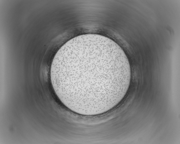 X0000110900026200907091425