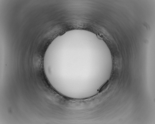 X0000110900029200907091425