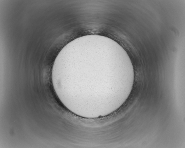 X0000110900030200907091425