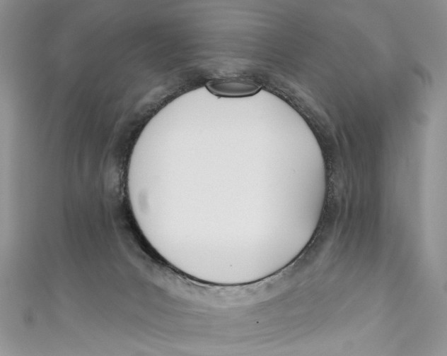 X0000110900031200907091425