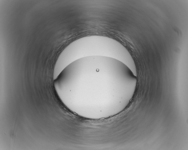 X0000110900033200907091425