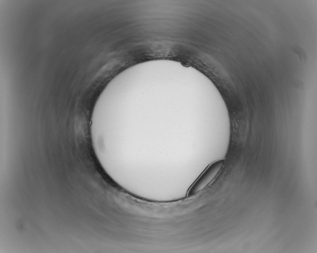 X0000110900035200907091425