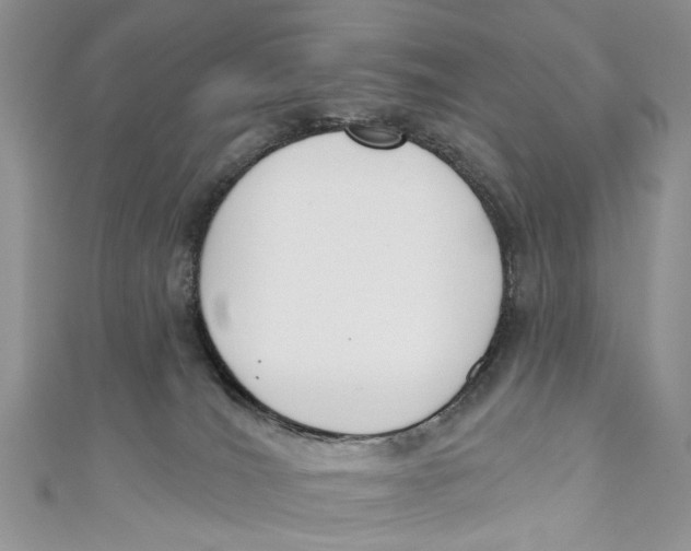 X0000110900036200907091425