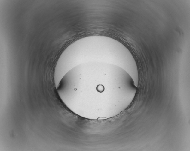 X0000110900037200907091425