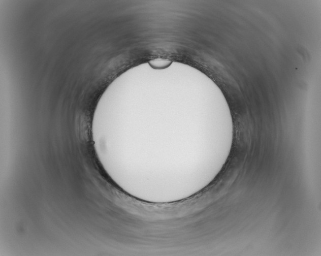 X0000110900038200907091425