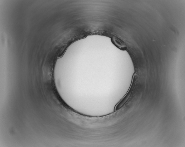 X0000110900039200907091425