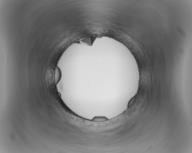 X0000110900043200907091425