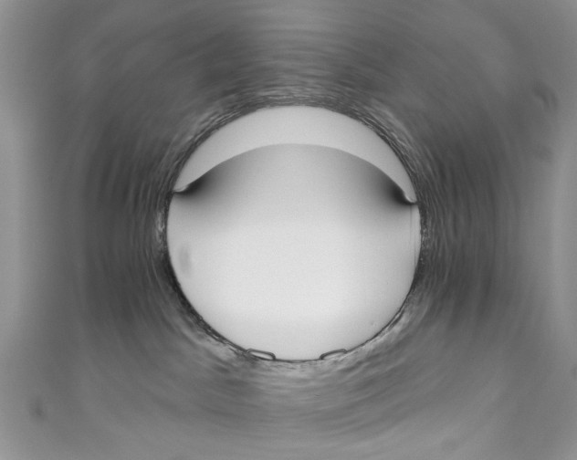 X0000110900045200907091425