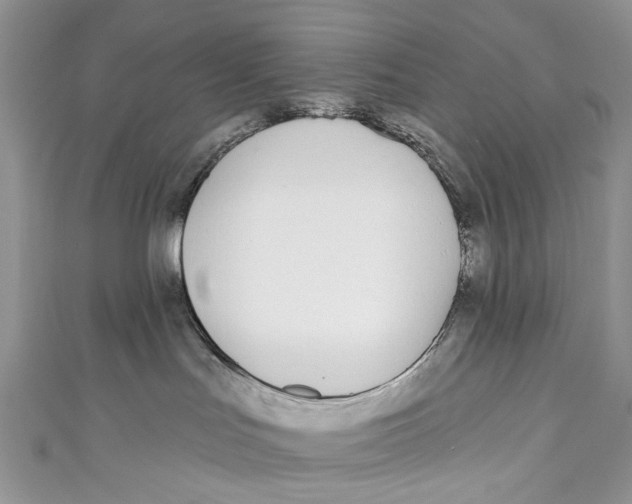 X0000110900047200907091425