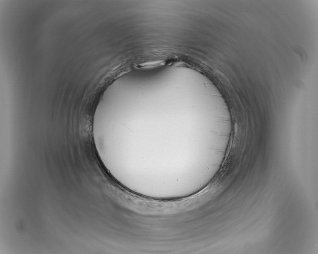 X0000110900048200907091425