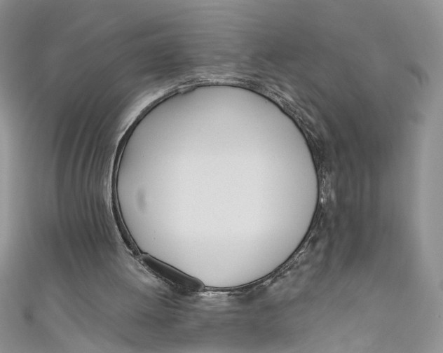 X0000110900052200907091424