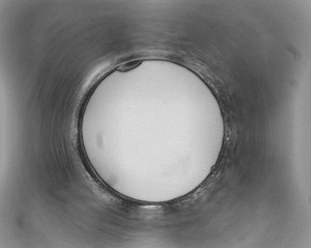 X0000110900053200907091424