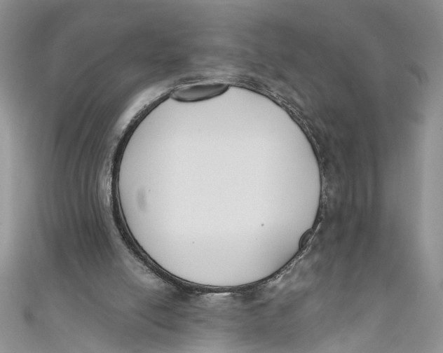 X0000110900054200907091424