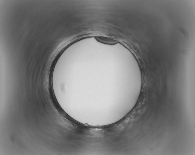 X0000110900055200907091424