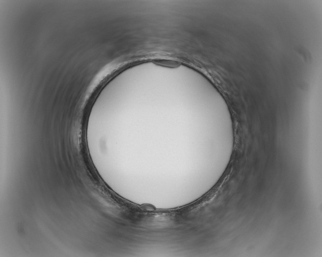 X0000110900056200907091424