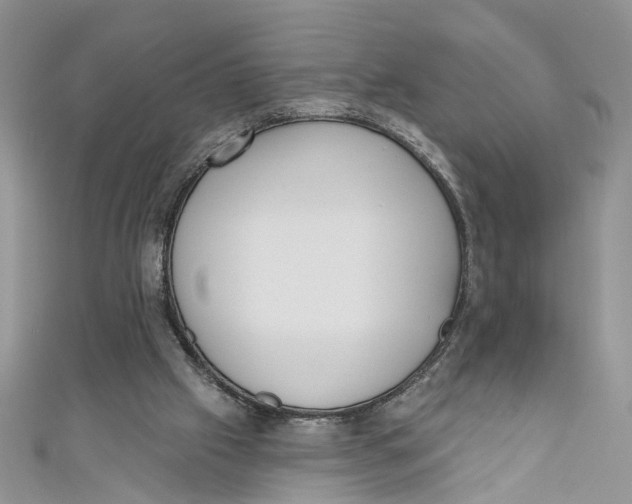 X0000110900057200907091424