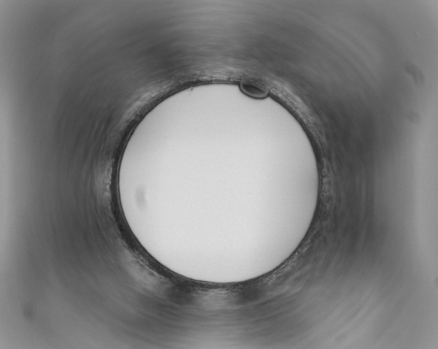 X0000110900058200907091424