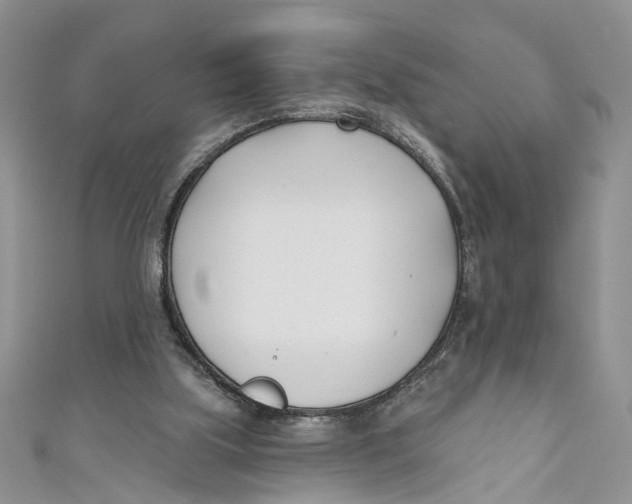 X0000110900059200907091424