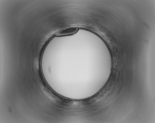 X0000110900060200907091424